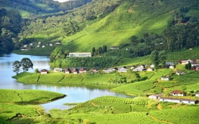 Munnar Alleppey Tour Package 3 Nights 4 Days