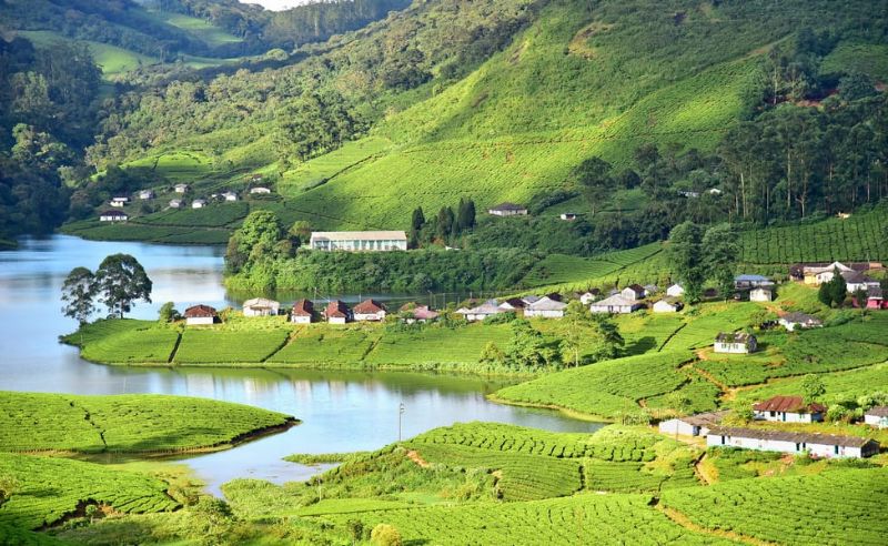 munnar trip package for family